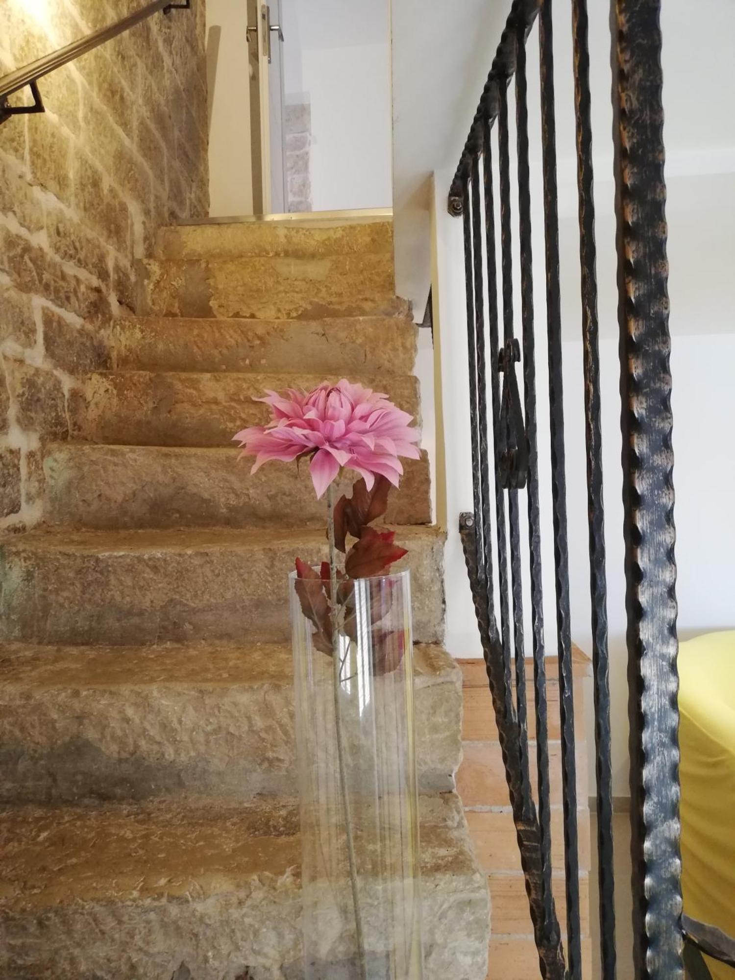 Lory Villa Sveti Lovreč Pazenatički Dış mekan fotoğraf